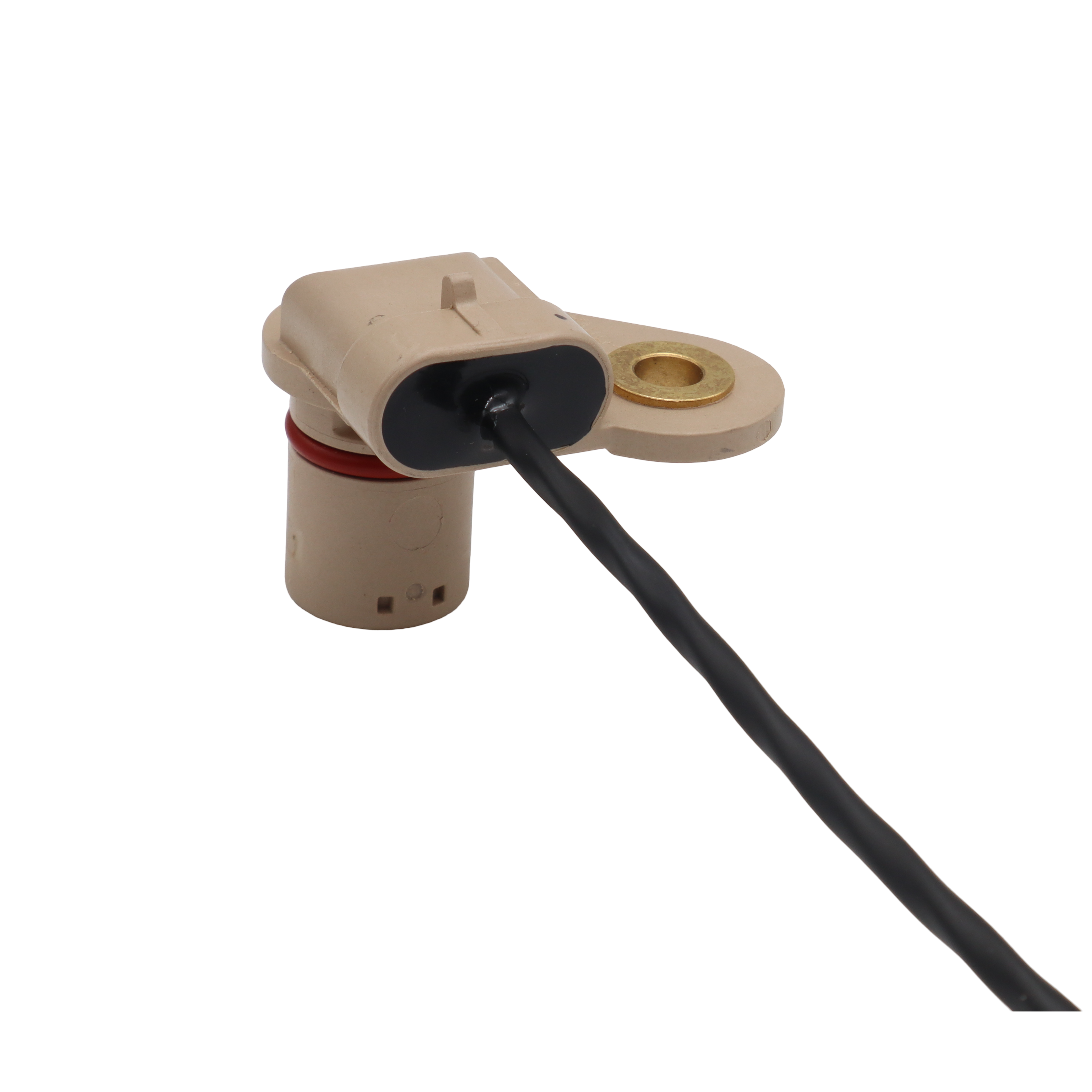 Potted GM LS Camshaft Position Sensor